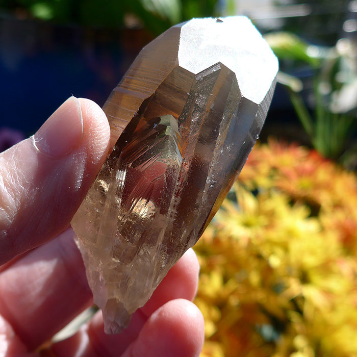 Natural Polished Citrine/smokey with Triple top / Key / Lemurian discount / Twin!!!