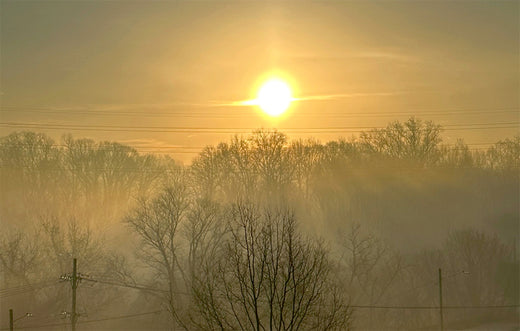 Streaming Sunrise Light, Photo by Jane Sherry