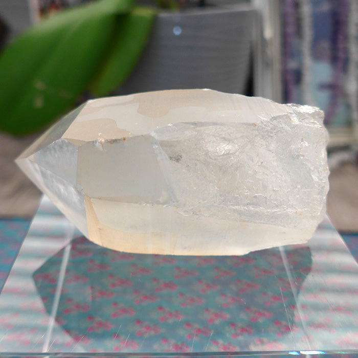 Pale Golden Lemurian Growth Interference Wand