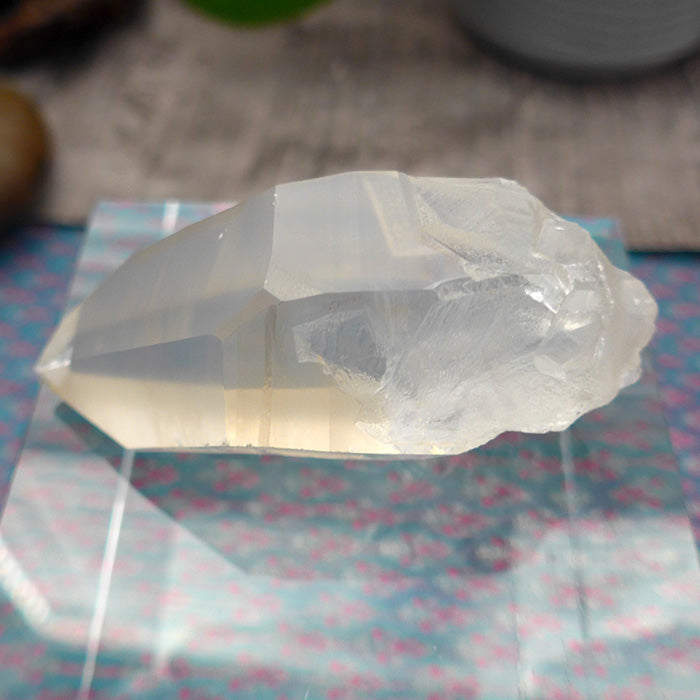 Pale Curvy Golden Lemurian Growth Interference Double Window Wand