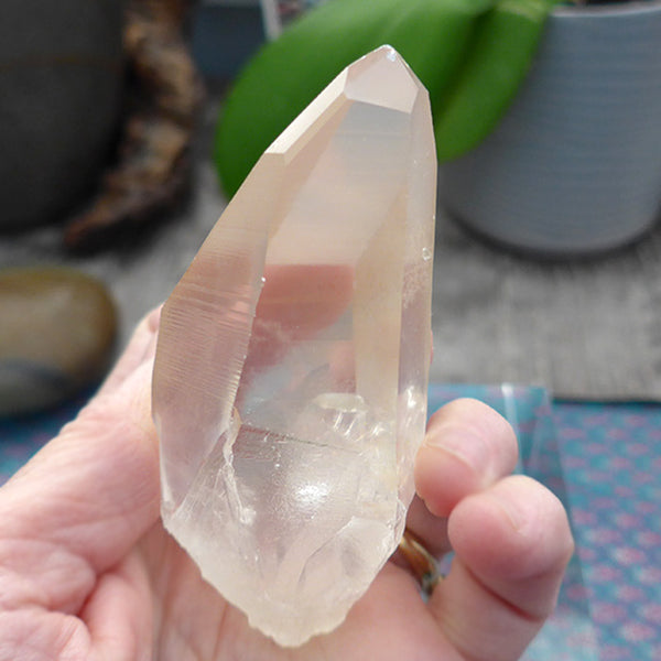 Pale Curvy Golden Lemurian Growth Interference Double Window Wand