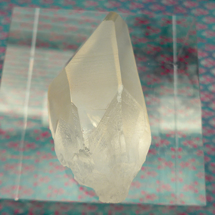 Pale Curvy Golden Lemurian Growth Interference Double Window Wand