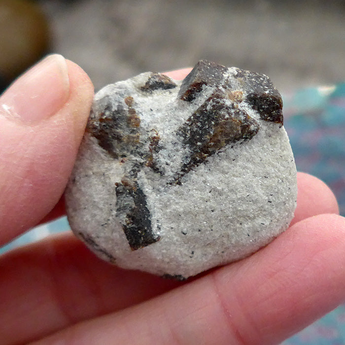 Scintillating St. George Cross Staurolite Specimen