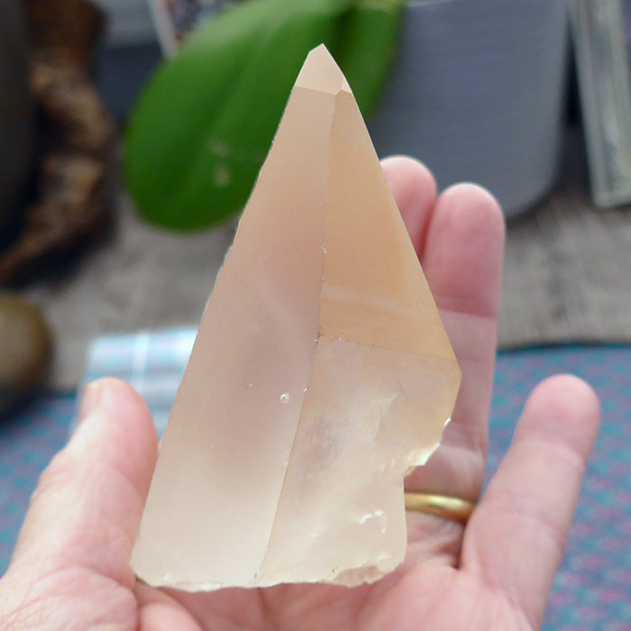 Lovely Tabular Golden Lemurian Point