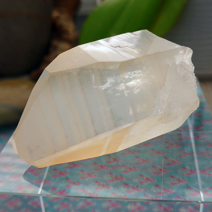 Lovely Tabular Golden Lemurian Point