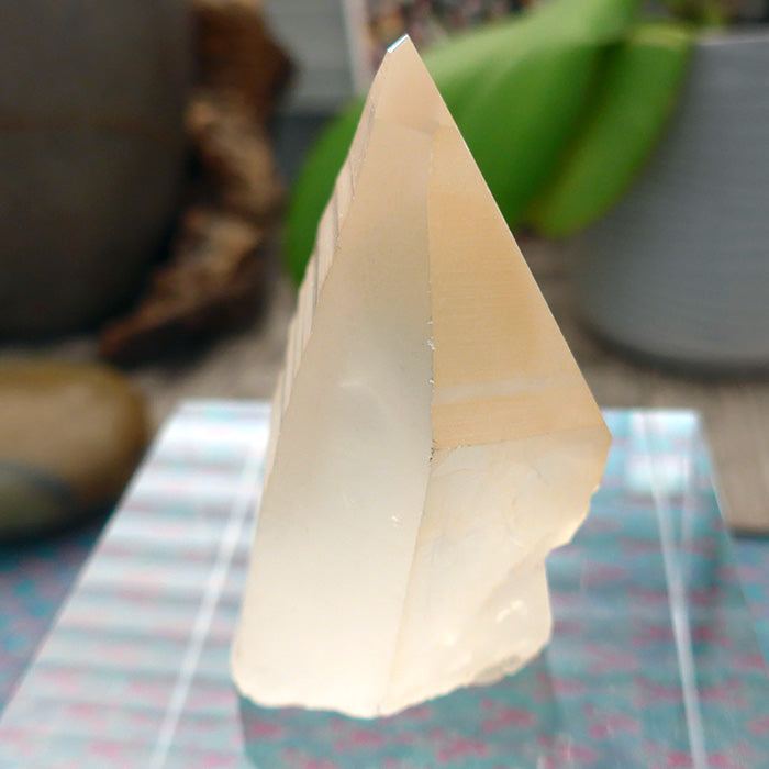 Lovely Tabular Golden Lemurian Point