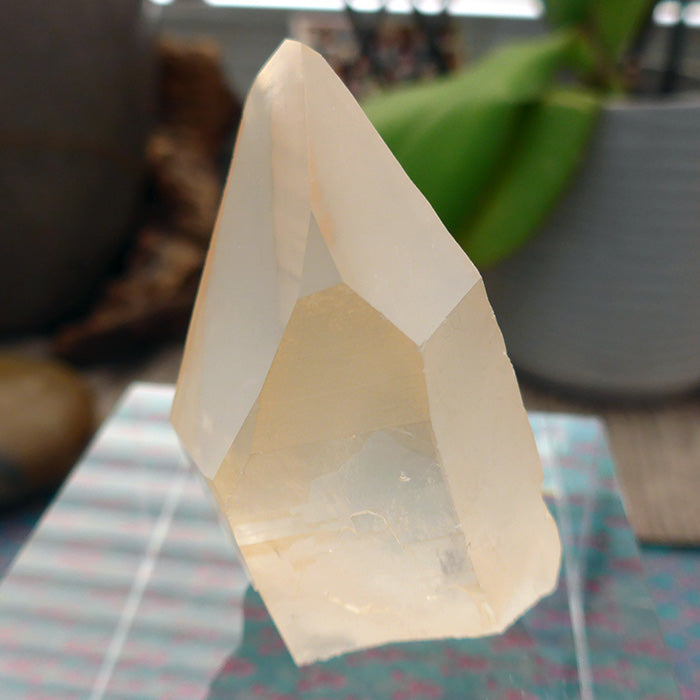 Lovely Tabular Golden Lemurian Point