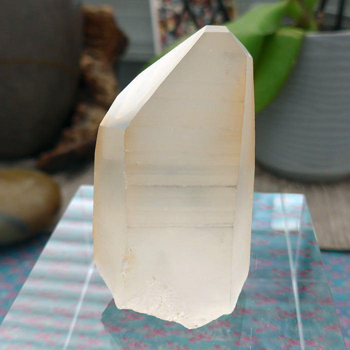 Lovely Tabular Golden Lemurian Point