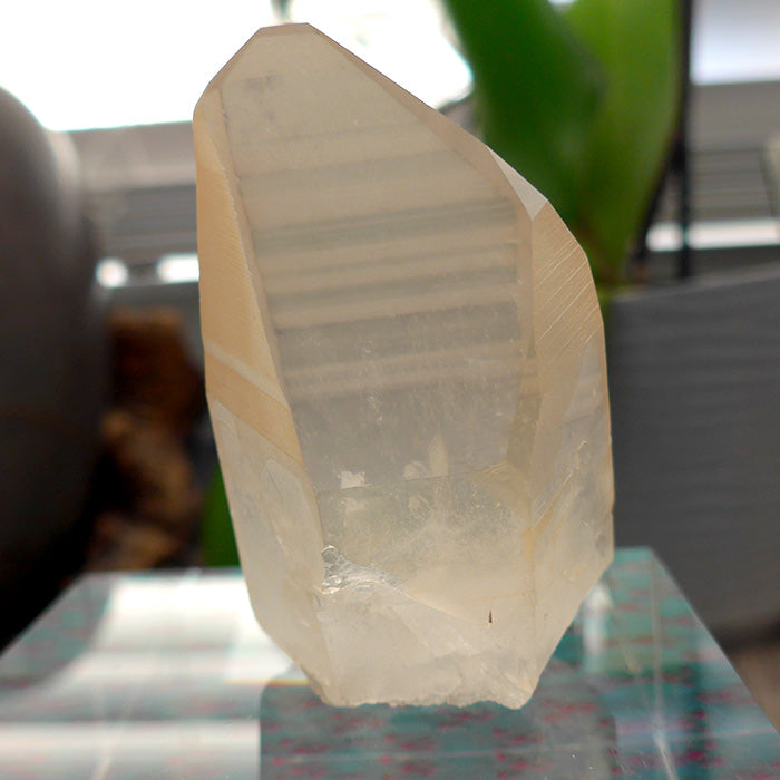 Lovely Tabular Golden Lemurian Point