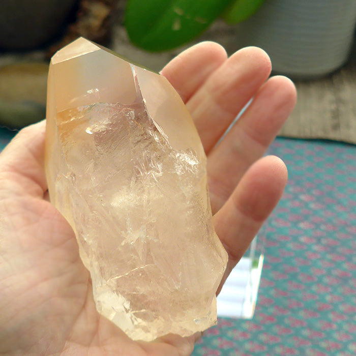 Fabulous Golden Lemurian Growth Interference Window Wand