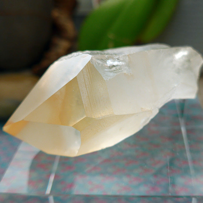 Fabulous Golden Lemurian Growth Interference Window Wand