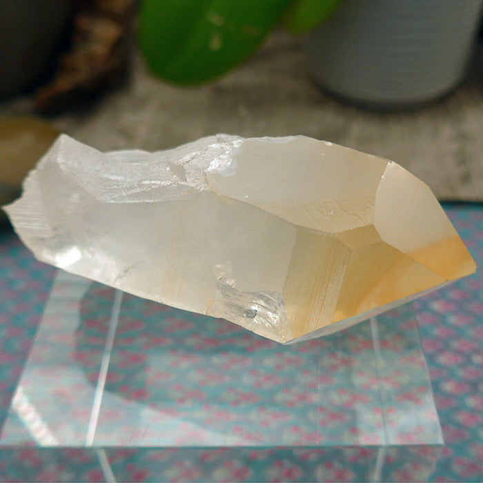 Fabulous Golden Lemurian Growth Interference Window Wand