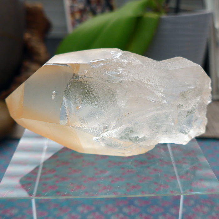 Fabulous Golden Lemurian Growth Interference Window Wand