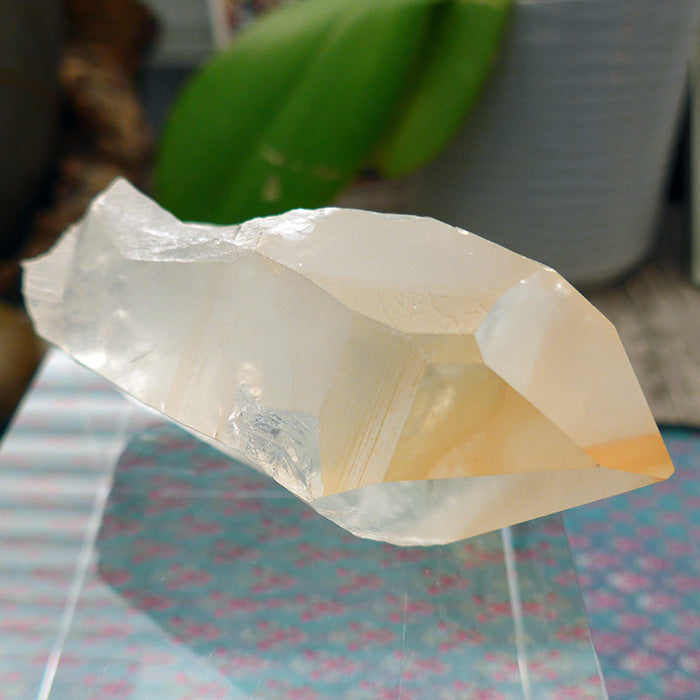 Fabulous Golden Lemurian Growth Interference Window Wand