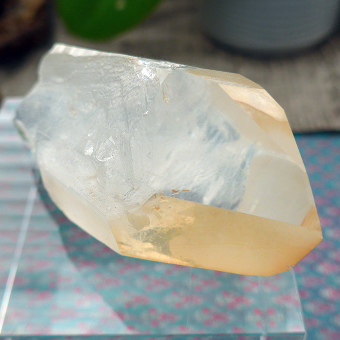 Fabulous Golden Lemurian Growth Interference Window Wand