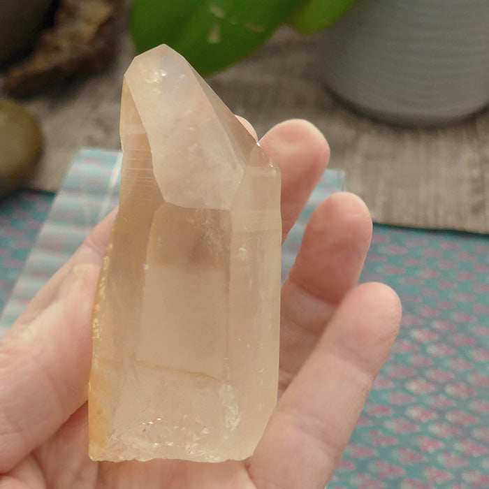 Curvy Golden Lemurian Growth Interference Point