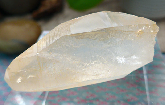 Curvy Golden Lemurian Growth Interference Point