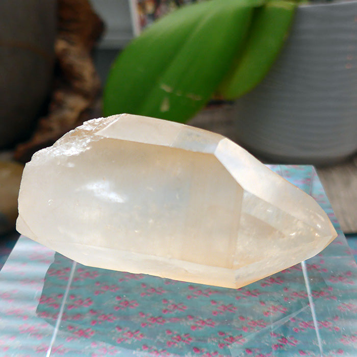 Curvy Golden Lemurian Growth Interference Point