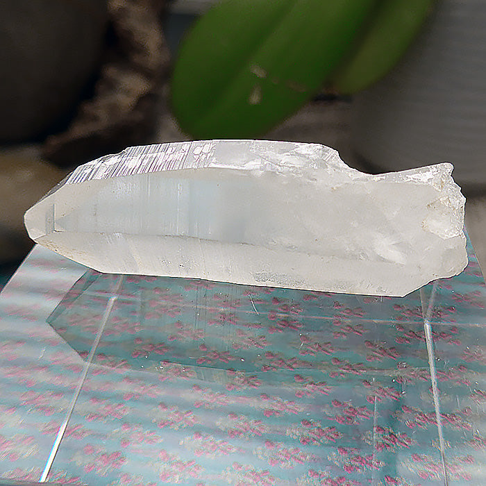 Curvaceous Dream Lemurian Growth Interference Wand