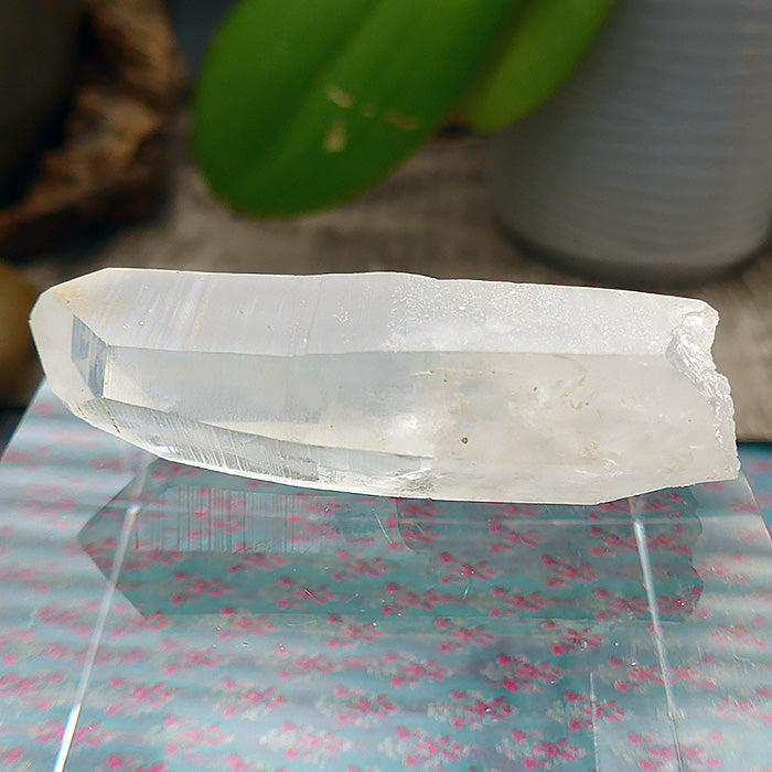 Curvaceous Dream Lemurian Growth Interference Wand