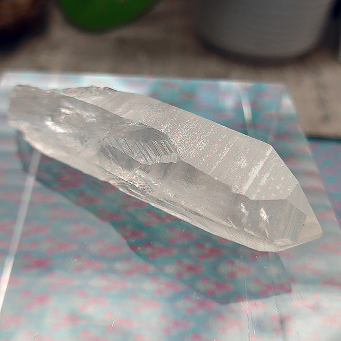 Curvaceous Dream Lemurian Growth Interference Wand