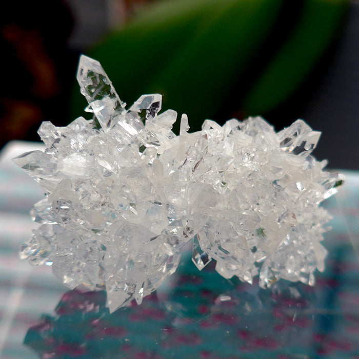 Diamond Bright AAA Gemstone Quality Apophyllite Druzy Cluster