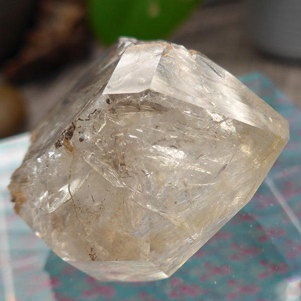 Golden Glow Clear Herkimer Diamond with Rainbow