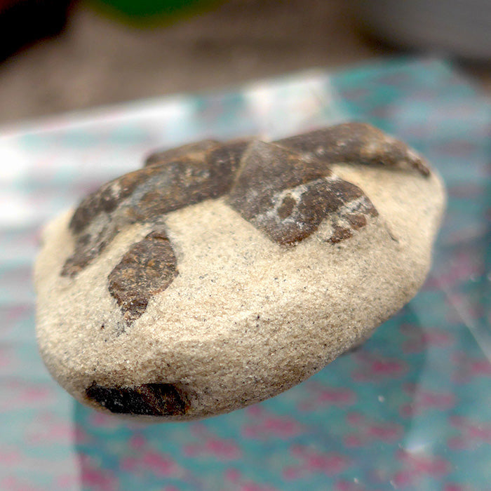 Giant Glittery Saint George Staurolite Cross