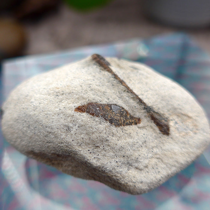 Giant Glittery Saint George Staurolite Cross