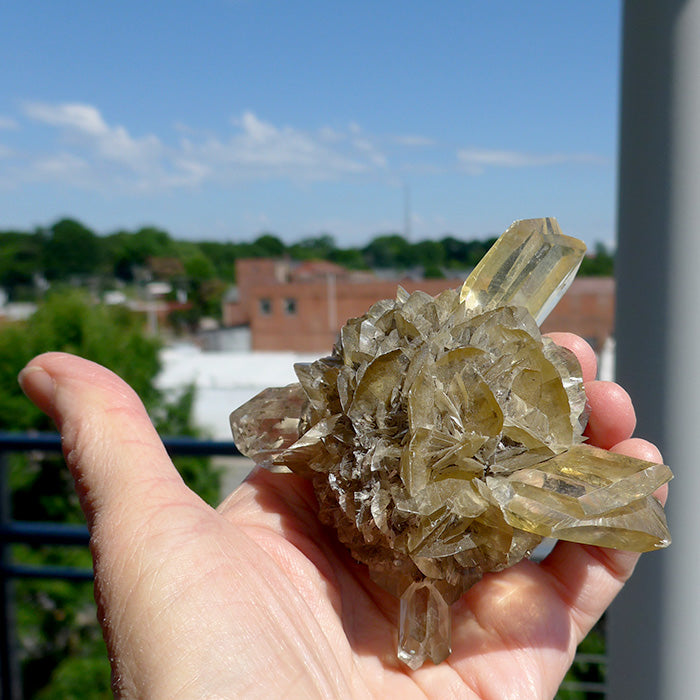 Multipoint Golden Winnipeg Selenite Sphere