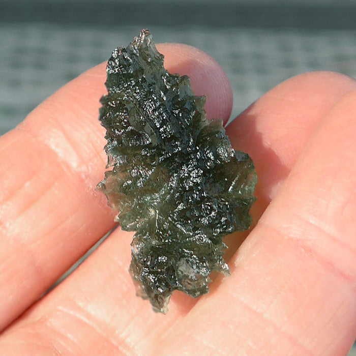 Curved Besednice Moldavite Beauty