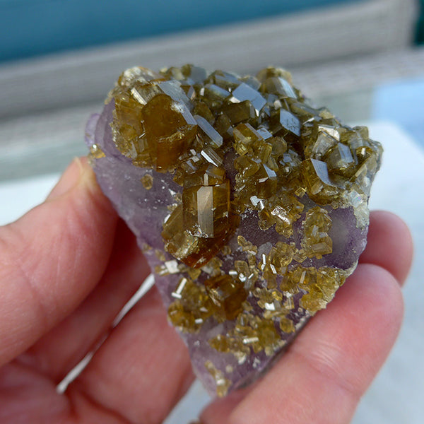 Golden Baryte Gems on Blue-Green-Violet Fluorite Wedge