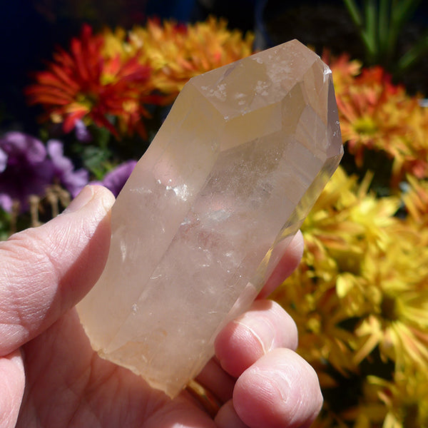 Golden Lemurian Self Healed Twin Window Wand