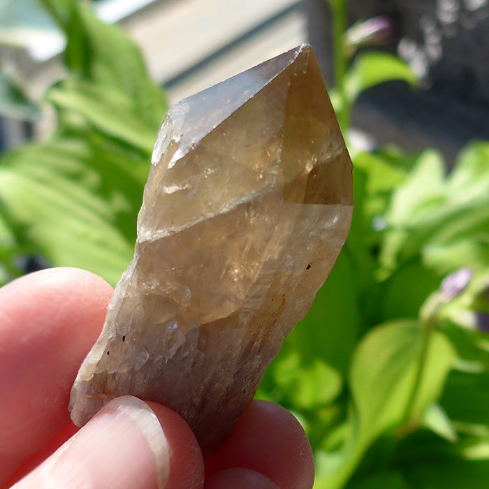 Namibian Citrine Small Scepter