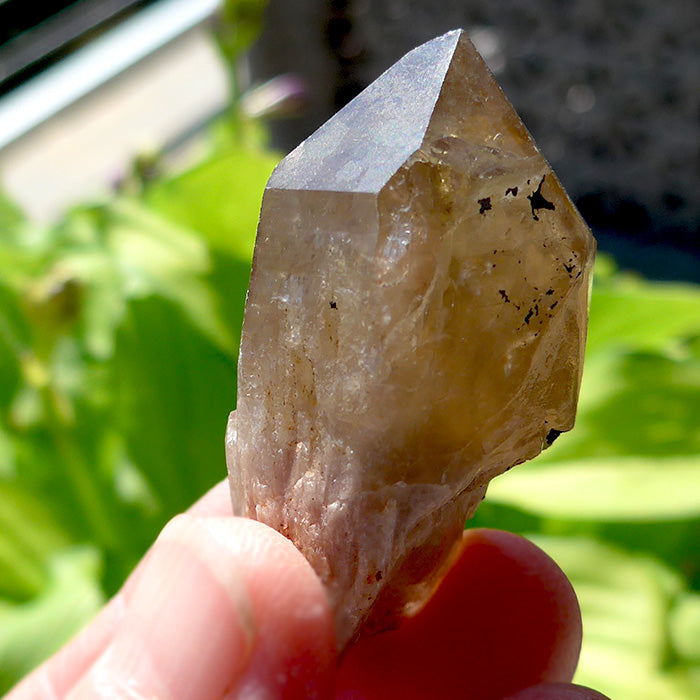 Namibian Citrine Small Scepter