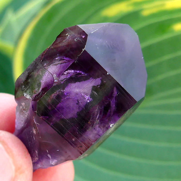 Gorgeous Small Brandberg Amethyst Scepter