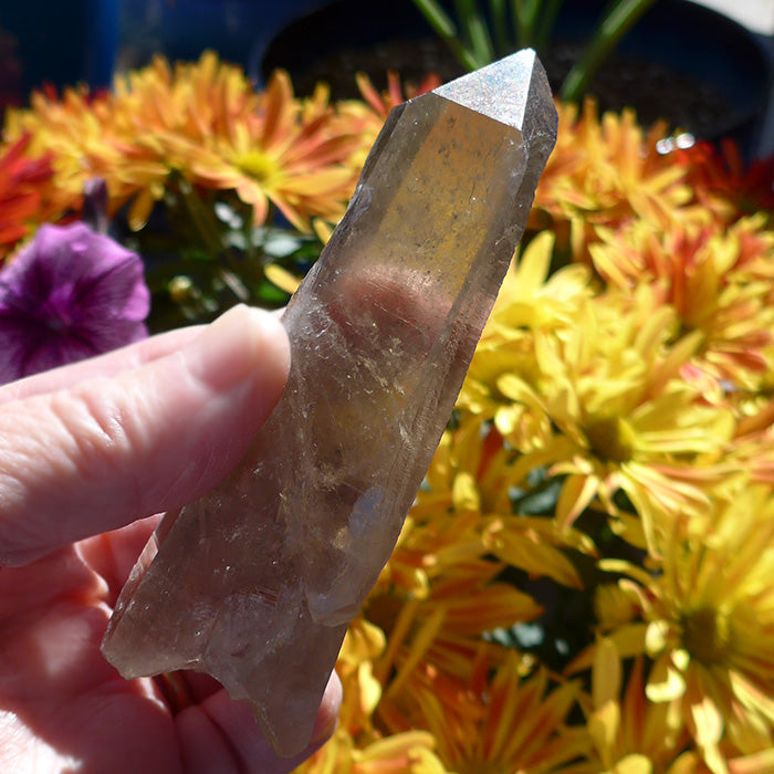 Natural Polished Citrine/smokey with Triple top / Key / Lemurian discount / Twin!!!