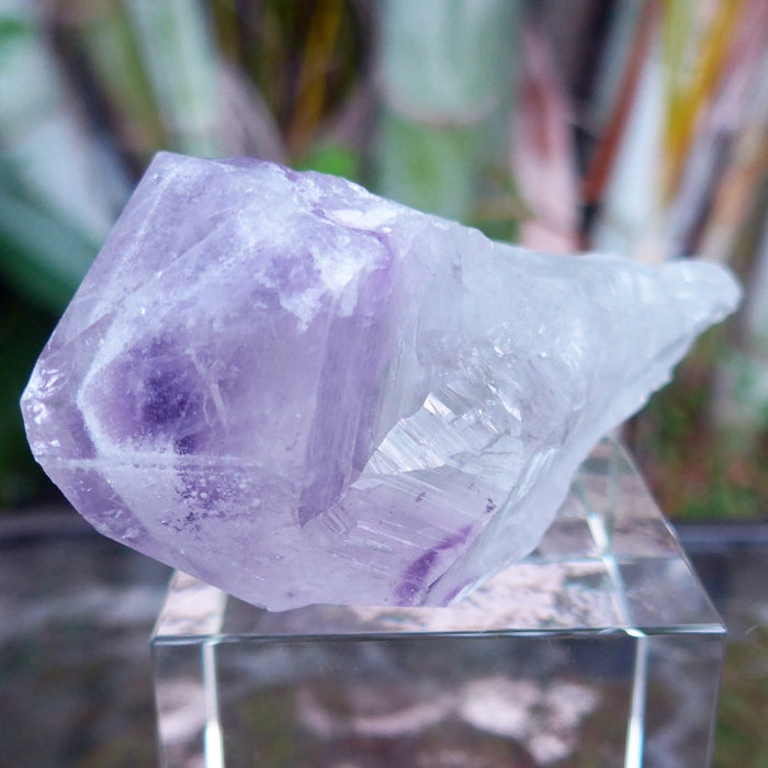 Amethyst outlet Scepter